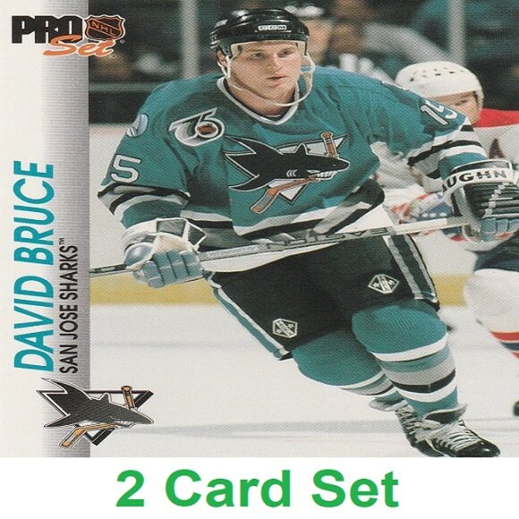 David Bruce Hockey Card Collection - Picture 1 of 3
